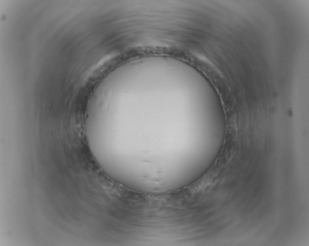 X0000073930870200609011832