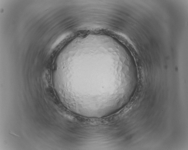 X0000073930871200609011832