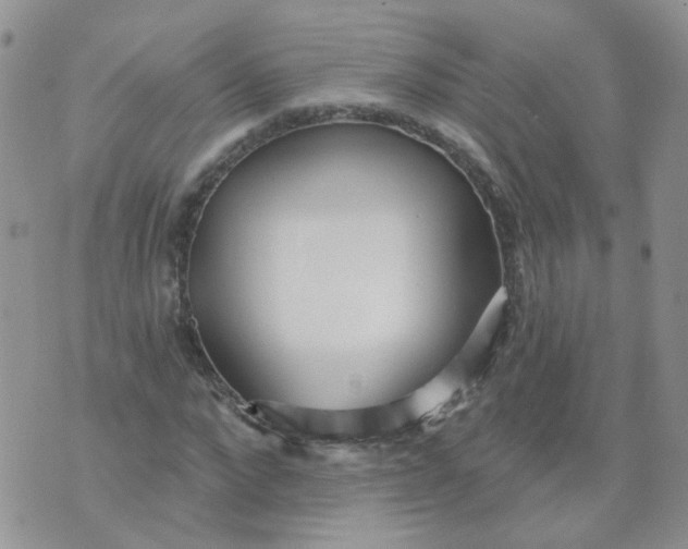 X0000073930872200609011832