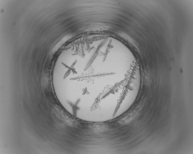 X0000073930874200609011832