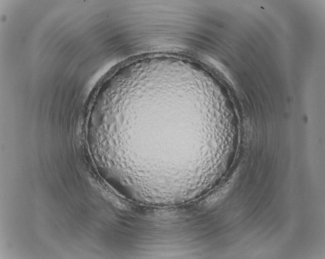 X0000073930875200609011832