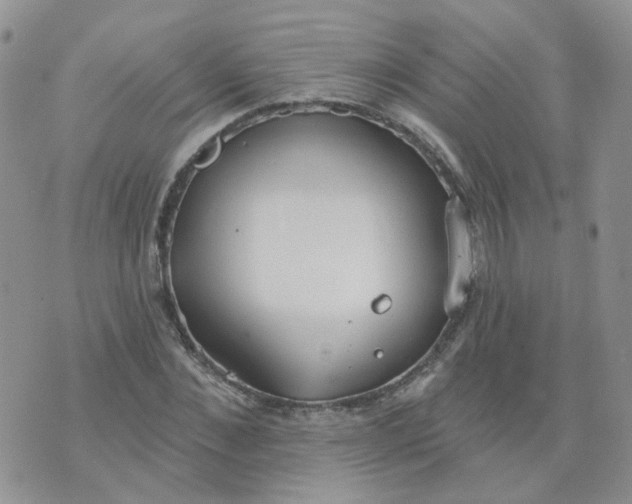 X0000073930876200609011832