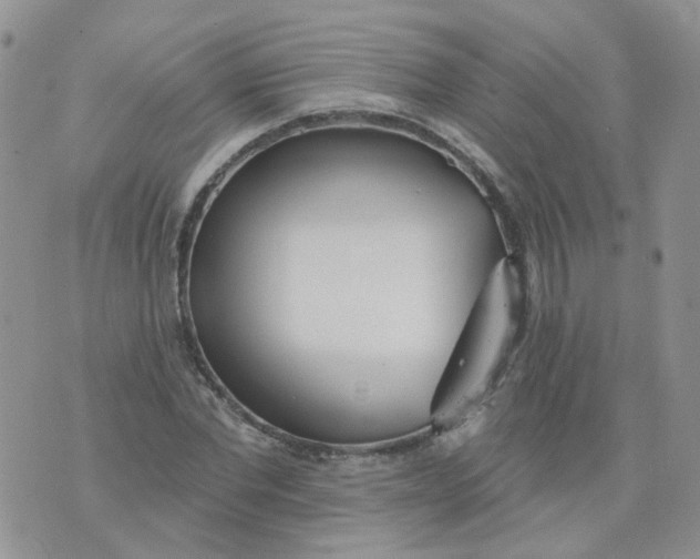 X0000073930877200609011832