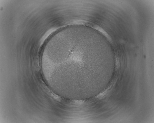 X0000073930878200609011832