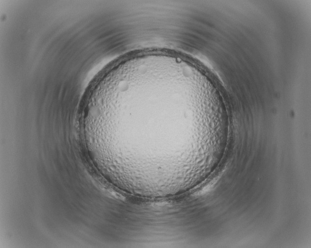 X0000073930879200609011832