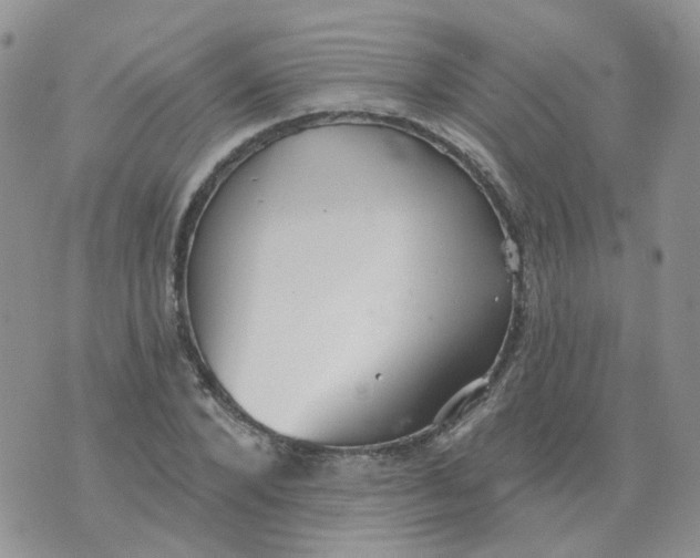 X0000073930880200609011832