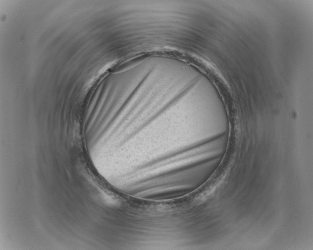 X0000073930881200609011832