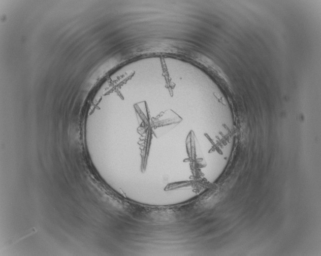 X0000073930882200609011832