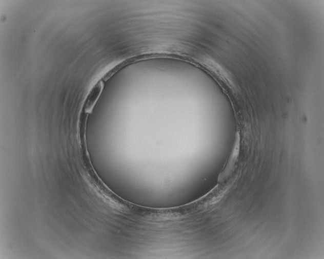 X0000073930884200609011831