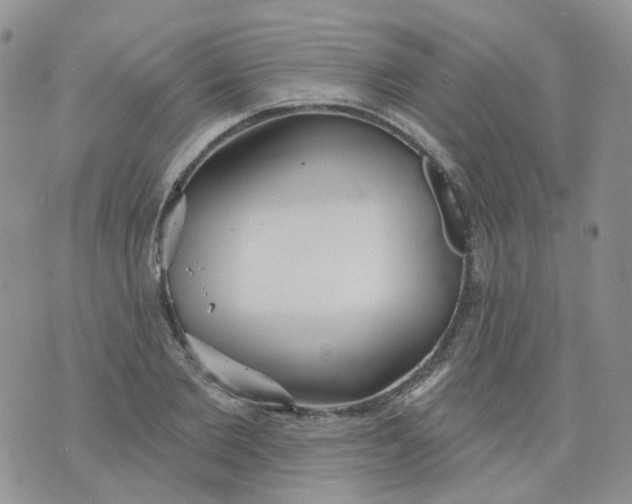 X0000073930885200609011831