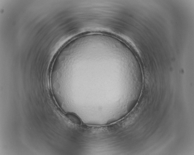 X0000073930887200609011831