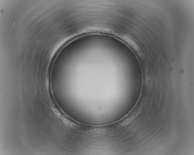 X0000073930888200609011831