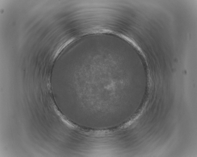 X0000073930889200609011831