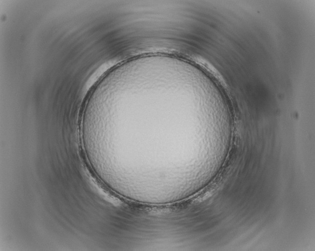 X0000073930890200609011831