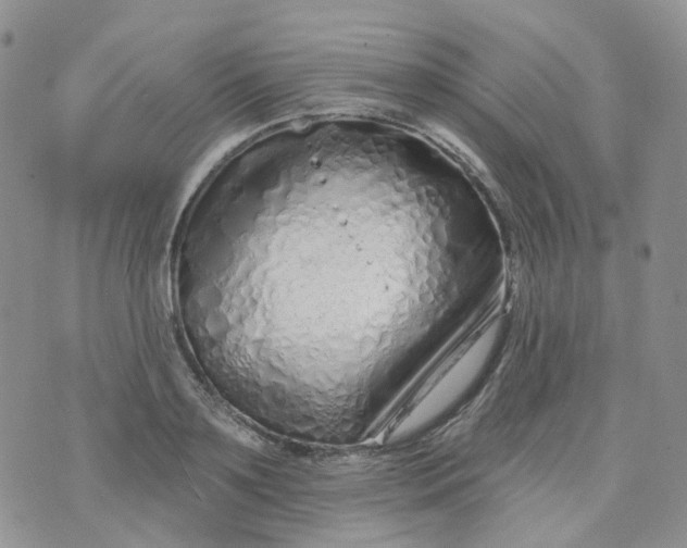 X0000073930891200609011831