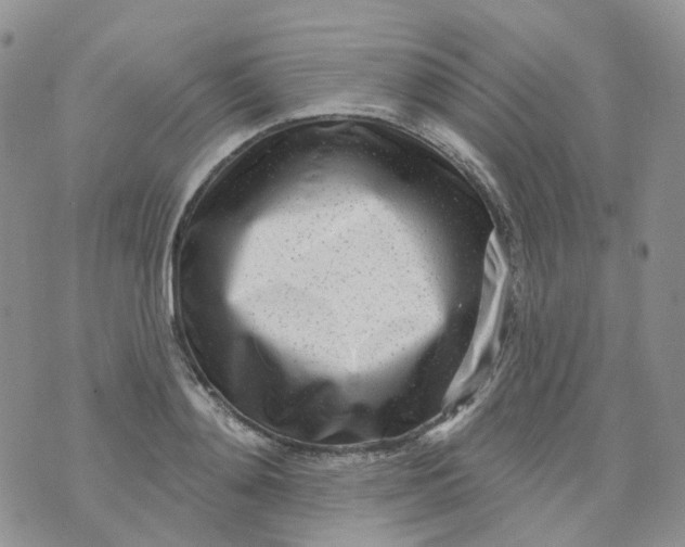 X0000073930892200609011831