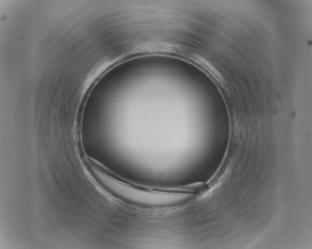 X0000073930893200609011831