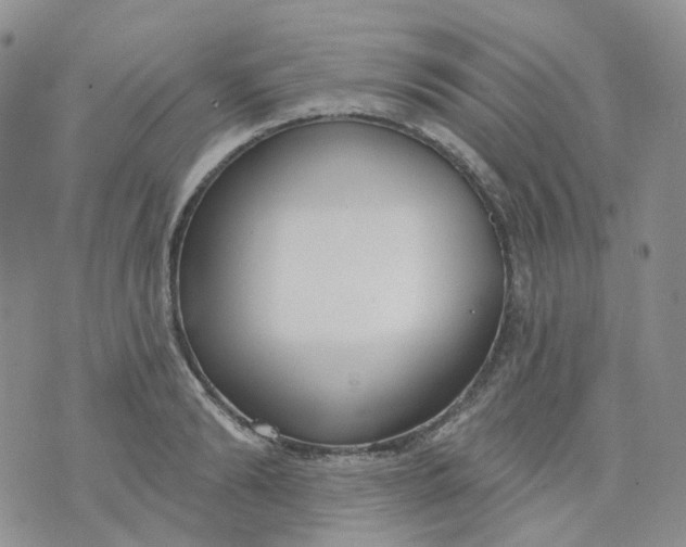 X0000073930894200609011831