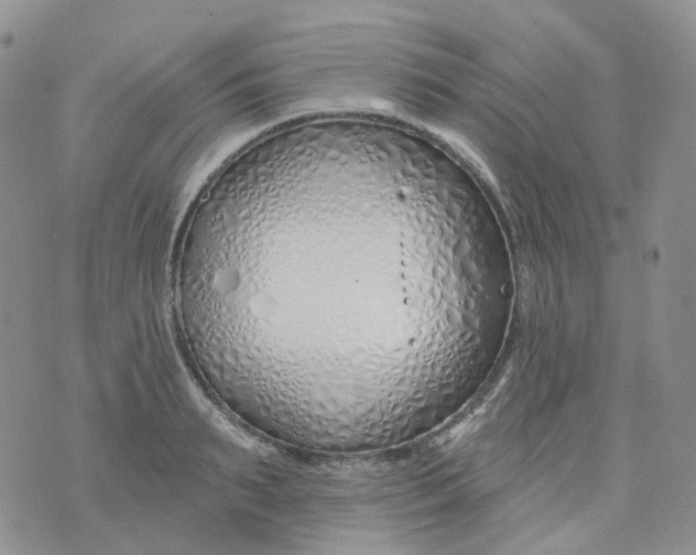 X0000073930895200609011831