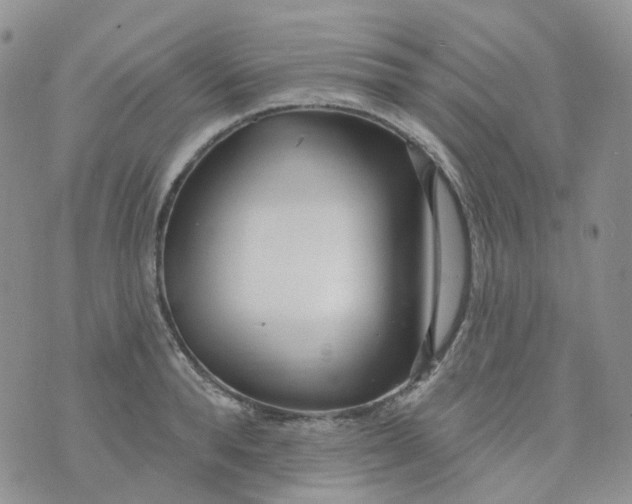 X0000073930896200609011831