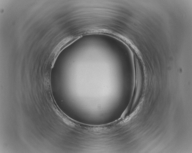 X0000073930897200609011831