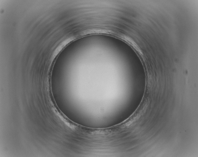 X0000073930898200609011831