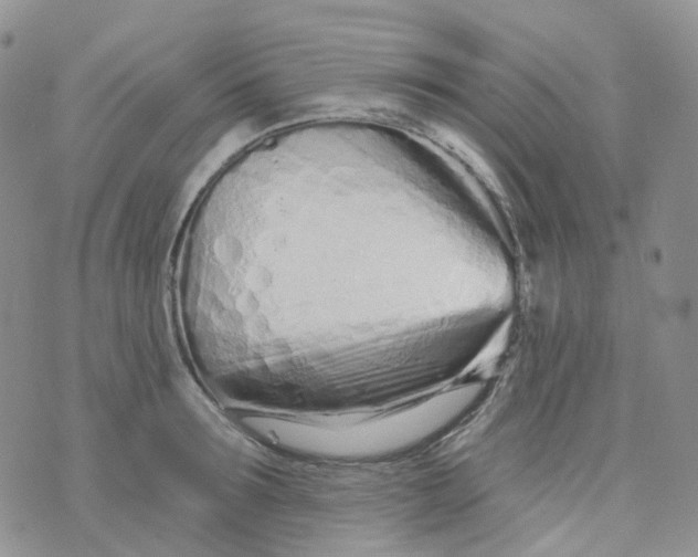 X0000073930899200609011831