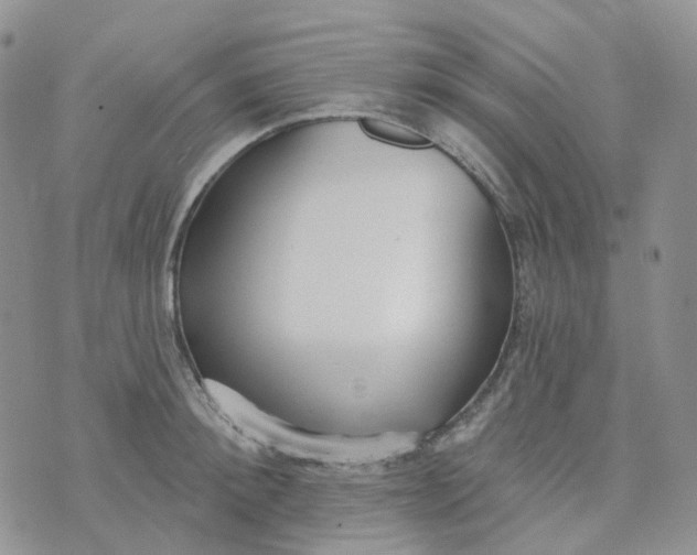 X0000073930900200609011831