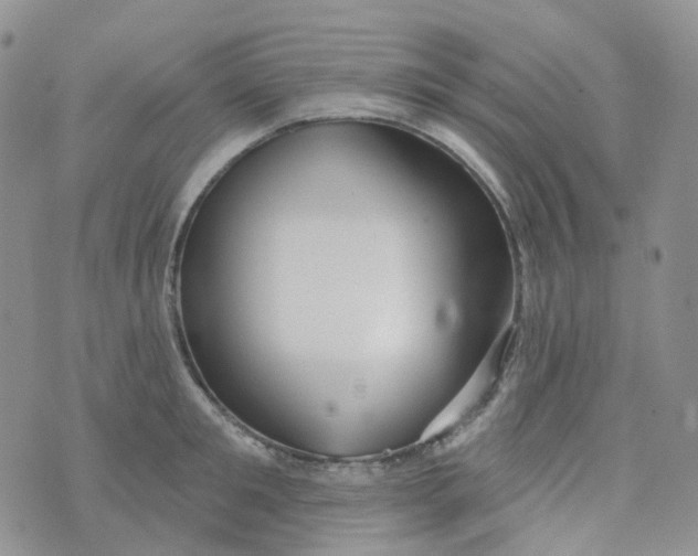 X0000073930901200609011831