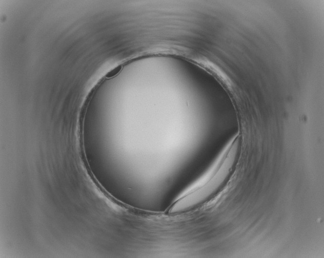 X0000073930902200609011831