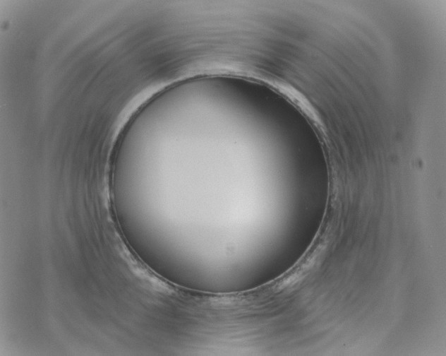 X0000073930904200609011831