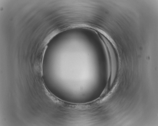 X0000073930905200609011831