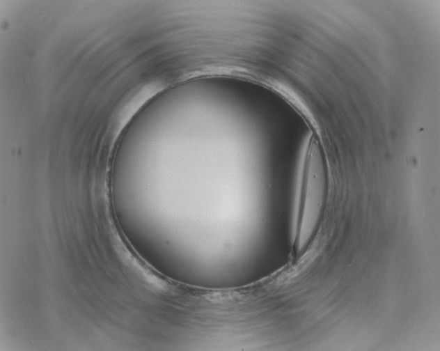 X0000073930906200609011831