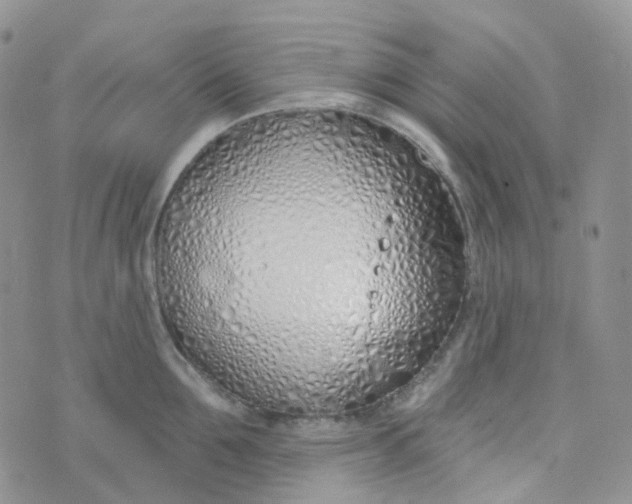 X0000073930907200609011831