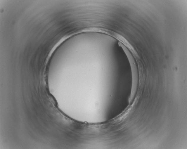 X0000073930908200609011831