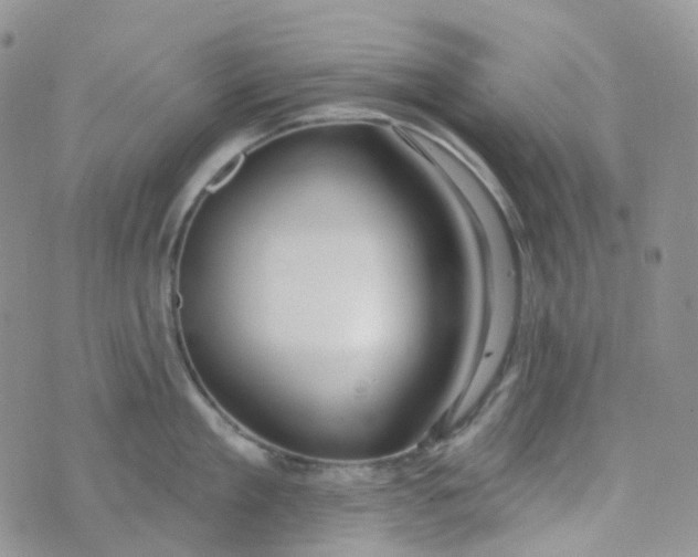 X0000073930909200609011831