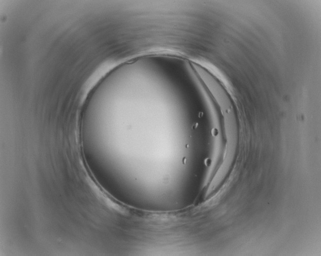 X0000073930910200609011831