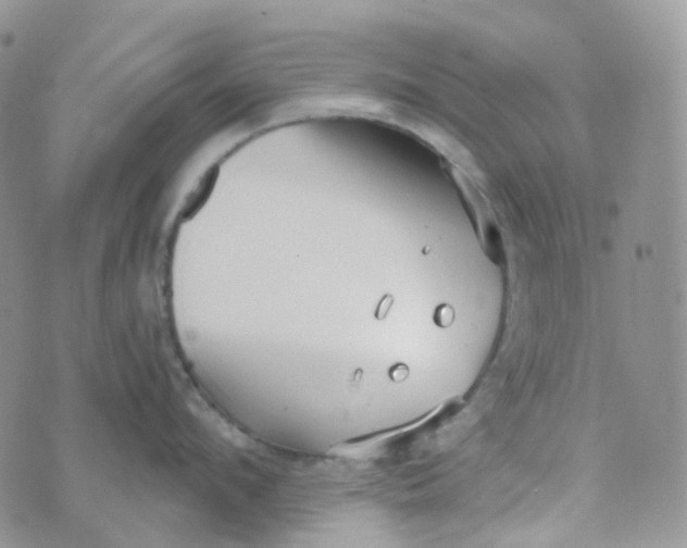 X0000073930912200609011831