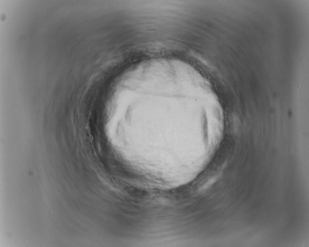 X0000073930913200609011830