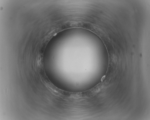 X0000073930914200609011830