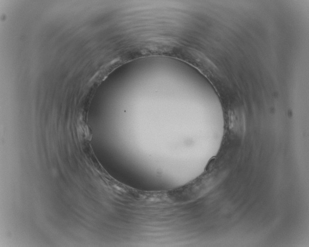 X0000073930915200609011830