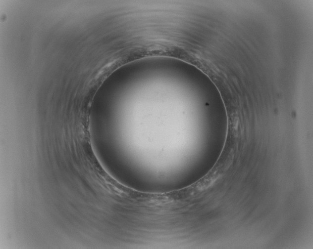 X0000073930916200609011830