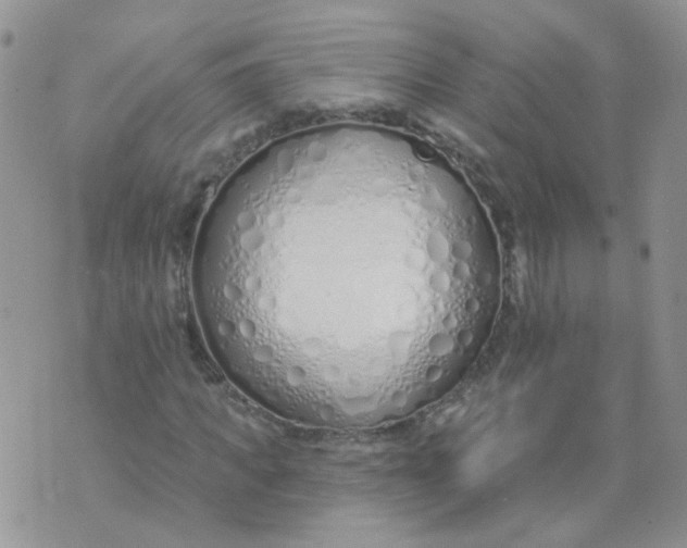 X0000073930917200609011830