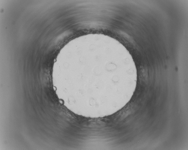 X0000073930918200609011830