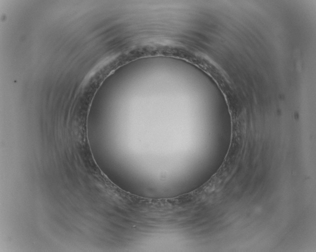 X0000073930919200609011830