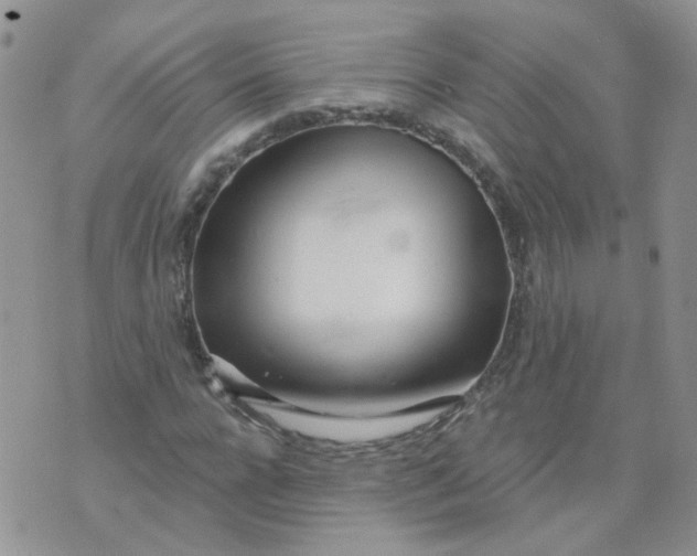 X0000073930920200609011830