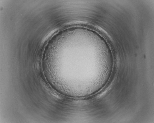 X0000073930921200609011830