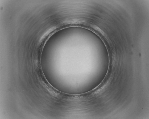 X0000073930922200609011830