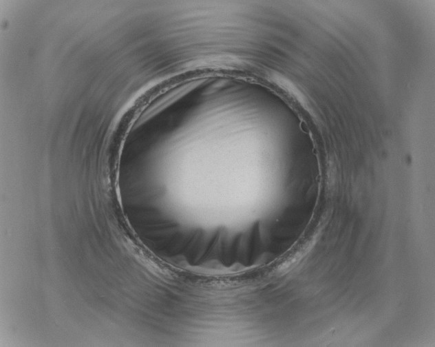 X0000073930923200609011830