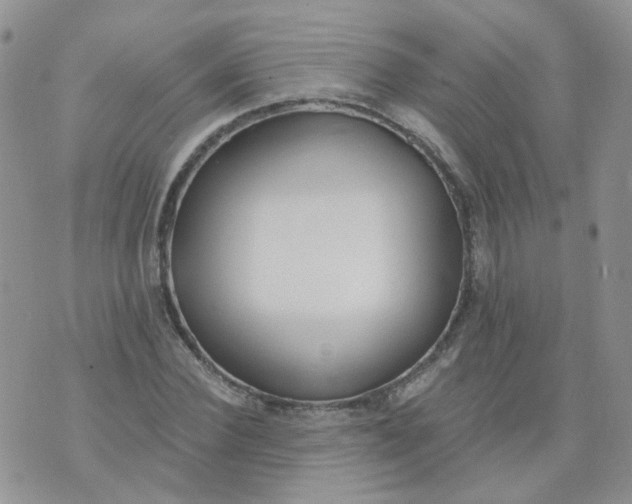 X0000073930924200609011830